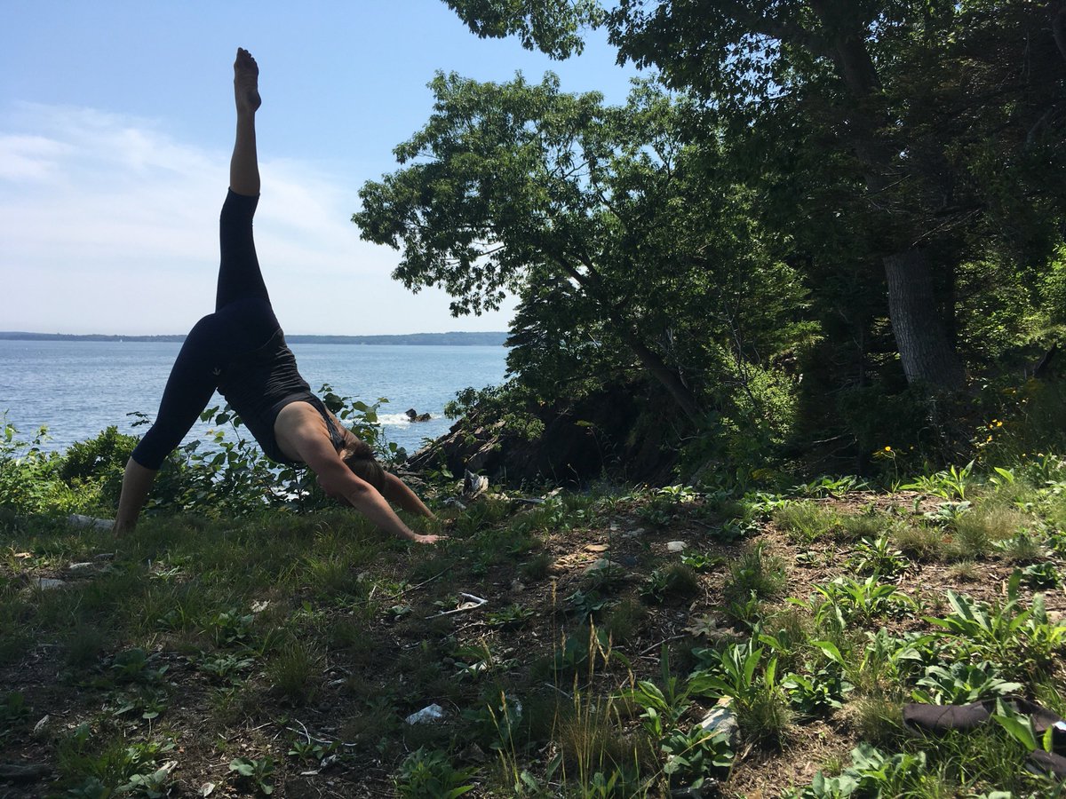 kathpullumyoga's tweet photo. Namaste! Check out my latest blog post about new **online** yoga classes and *private* lessons:
https://t.co/4WkmSvPlGB
🕉️
#privateyoga #onlineyoga #yogateacher #hathayoga #himalayanhatha #yogabasics #brooklynyoga #yogapreneur https://t.co/3rrHnsmuN1
