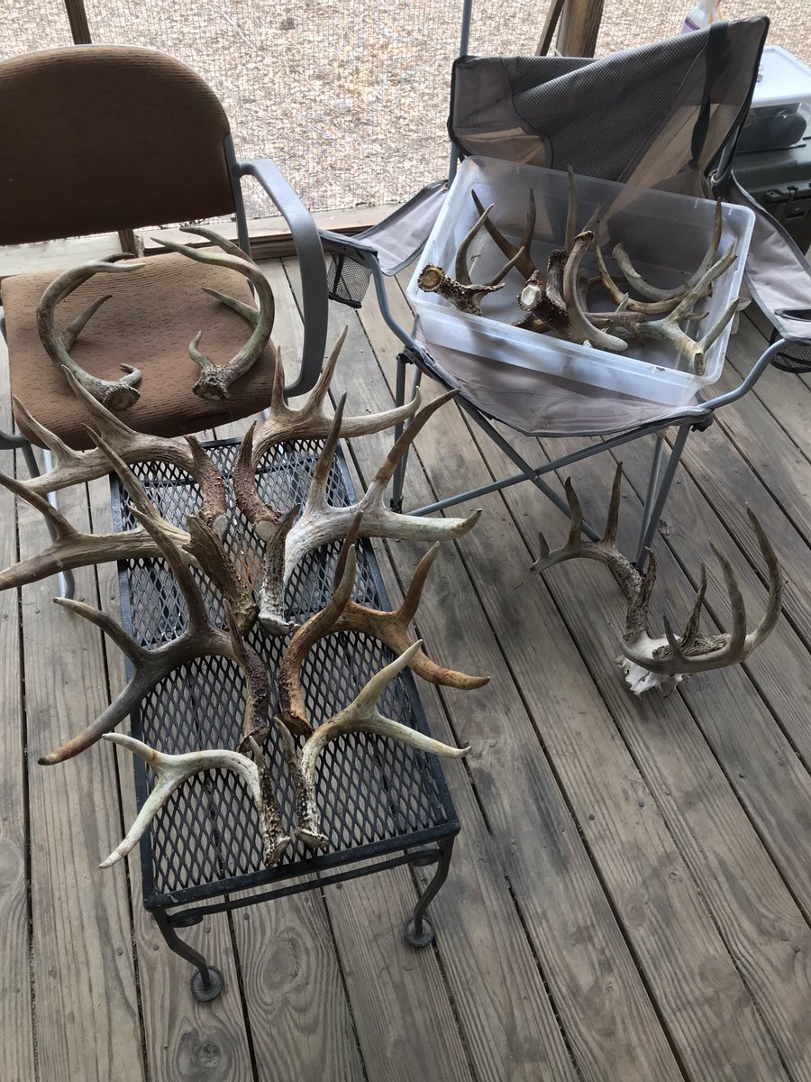 FearMeetsFire's tweet photo. @WhitetailPropTV Two batches from this year in southwest Georgia...no shed is shown twice #ShedRally https://t.co/FltILQh9Gn
