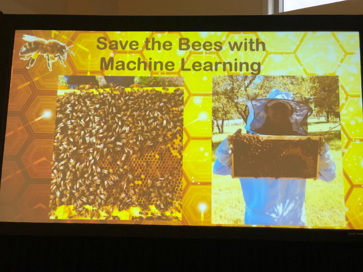 ignitetalks's tweet photo. Sara Hall, advisor at @ValkyrieIntel talks about ways to save bees with machine learning! #IgniteSXSW https://t.co/oHfsIqfvfC