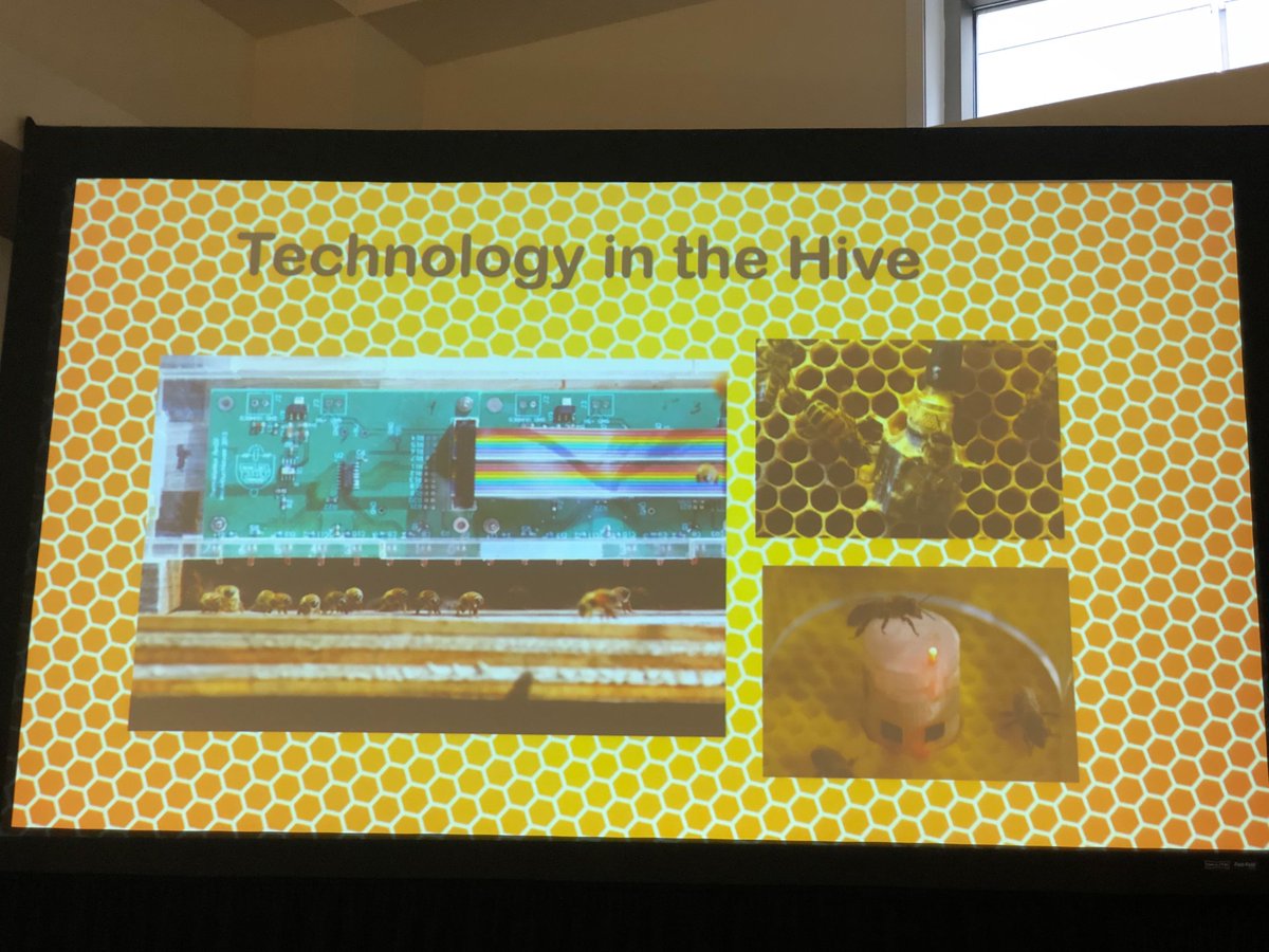 ignitetalks's tweet photo. Sara Hall, advisor at @ValkyrieIntel talks about ways to save bees with machine learning! #IgniteSXSW https://t.co/oHfsIqfvfC