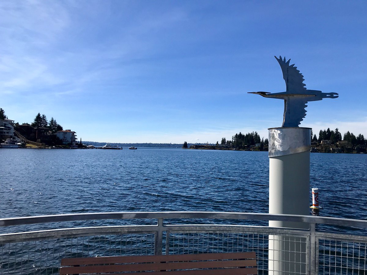 JeffreyStroebel's tweet photo. Only one more week until the new Meydenbauer Bay Park officially opens in downtown #Bvue, and it is going to be spectacular. #bellevueful https://t.co/tsLoxt4Of2