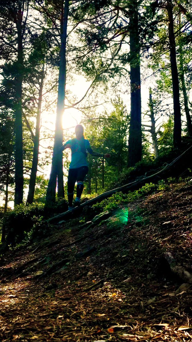Alves22Nanda's tweet photo. 🧞♀️#trailrinning #run
⚠️Sábado ⚠️
#escaldes ↗️ #picpadern 1.📸🔭#encamp↘️↗️engolasters➡️#santmiquelengolasters 2. 📸🔭#picdecarroi ↘️Escaldes 🧞♀️
⚠️Domingo⚠️
Encamp↗️#tombdelesneres 3.y4.📸➡️#beixalis ↘️Encamp
✅por fin!final del finde #running por #Andorra https://t.co/vM6IMWM9Ae