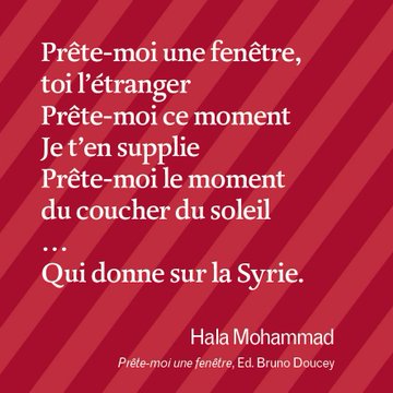 Hala Mohammad tweet media