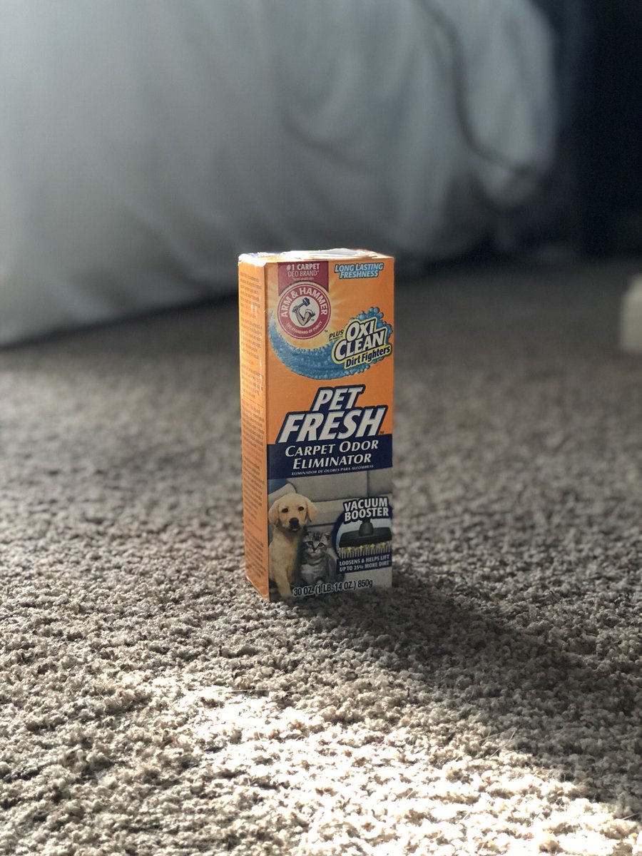 CentsableBlog's tweet photo. Best carpet odor eliminator ever! 🙌🏻🙌🏻🙌🏻 https://t.co/MnINKRn345