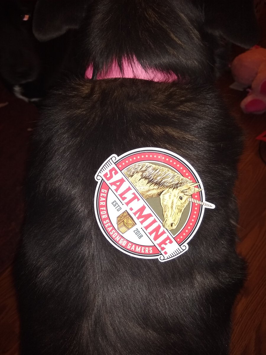 SaltMineClothes's tweet photo. BRAND NEW #SaltMine stickers have been handed out to the guerrilla marketing team.  

Most creative application goes to the expert with 2 years experience ... In life. https://t.co/vLfR3cKA36