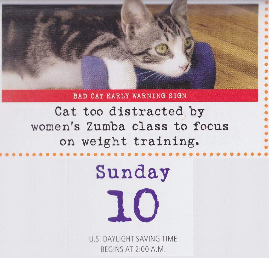 SingerCTgaming's tweet photo. Streaming shortly https://t.co/CDN665EDc3 Was to start at 7, now 8PM. Join us for #JackBoxGames. #SupportSmallStreamers #SmallStreamersConnect #SupportAllStreamers #LGBTgamers #Gaymers #GirlGamers #BiGamers #LGBT #BadCats #QueerGamers https://t.co/m7TsdWZK14