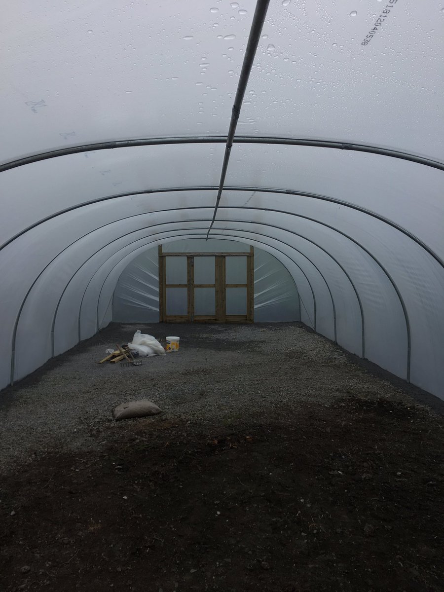 DCraughwell's tweet photo. 50 foot. Whaaaa!  @HotelDoolin https://t.co/1BLKZdS5TN