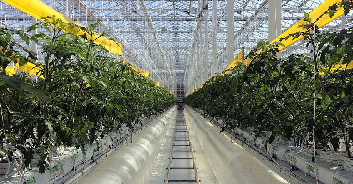 SustainBrands's tweet image. Textile waste occupies nearly 5% of all landfills. It’s up to industry #fashion leaders to create meaningful change by recycling materials, increasing longevity of products, &amp;amp; sourcing bio-based materials like @SoronaFiber. sbshare.co/2HmTtfY