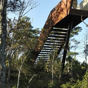 ColoradoSeekers's tweet image. Has anyone personally seen this?  Their staircases that are found in different locations in the woods. 

#Creepy #staircasestoheaven #differentdimensions #paranormal