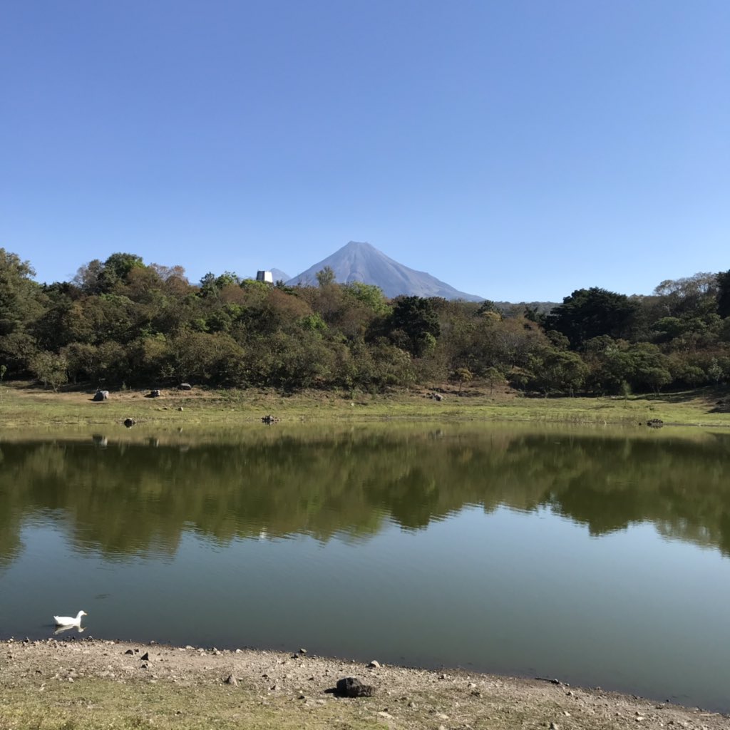 sabormexico's tweet photo. Los domingos en #Colima incluye un paseo por la Laguna de Carrizalillos y de ahí almorzar en Cobá Steakhouse y comerse unos buenos sopitos. #ColimaSabe a la vida campestre que los capitalinos nos tenemos y tanto quisiéramos. #ExperienciasporMéxico #SaboresdeMexico https://t.co/ON0z1PJl8R