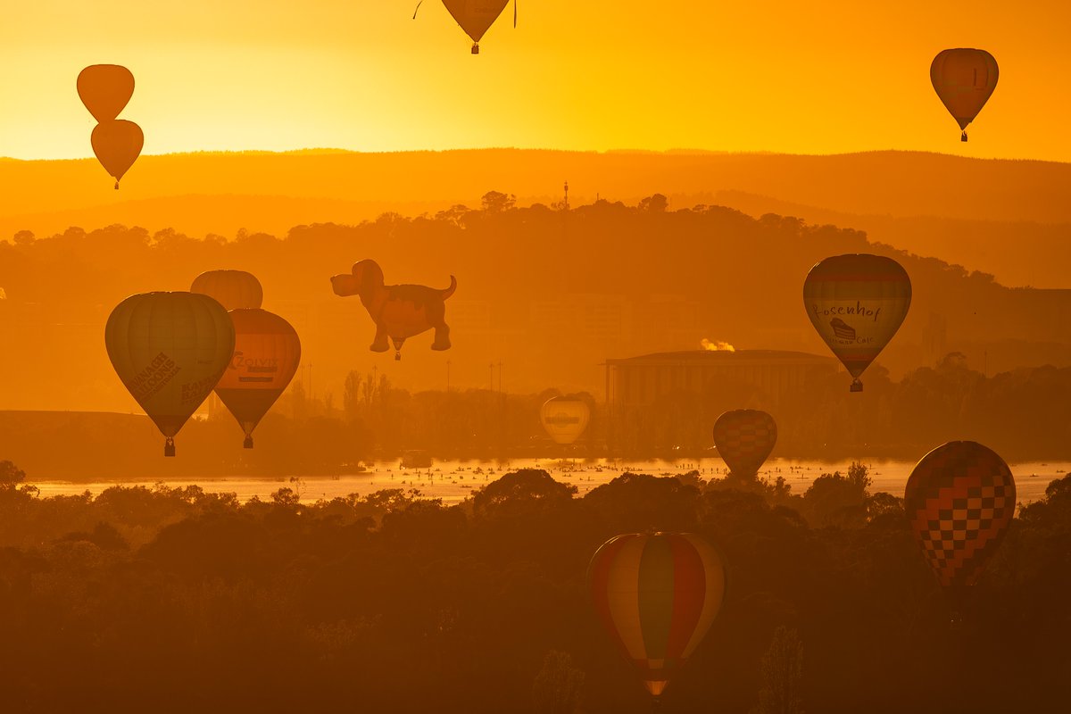 Sunrise in the capitol #canberra #cbr #balloons #australia #seeaustralia #enlightenfestival #photography 
@BalloonCanberra