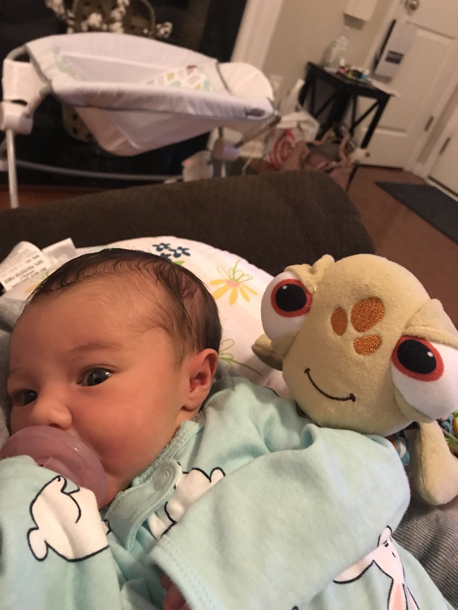 holden tweet media