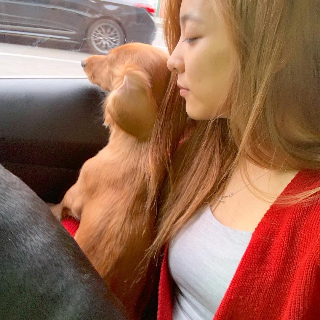 ithsBree's tweet photo. ㅤ@ itsbree : 👑♡ — #howthblr.

ㅤㅤ it's okay, mama is here baby. Mi pequeña Honey es una chica asustadiza, ¿qué particularidades tienen sus bebés? #HowthPuppies https://t.co/JjfNsIhQa8