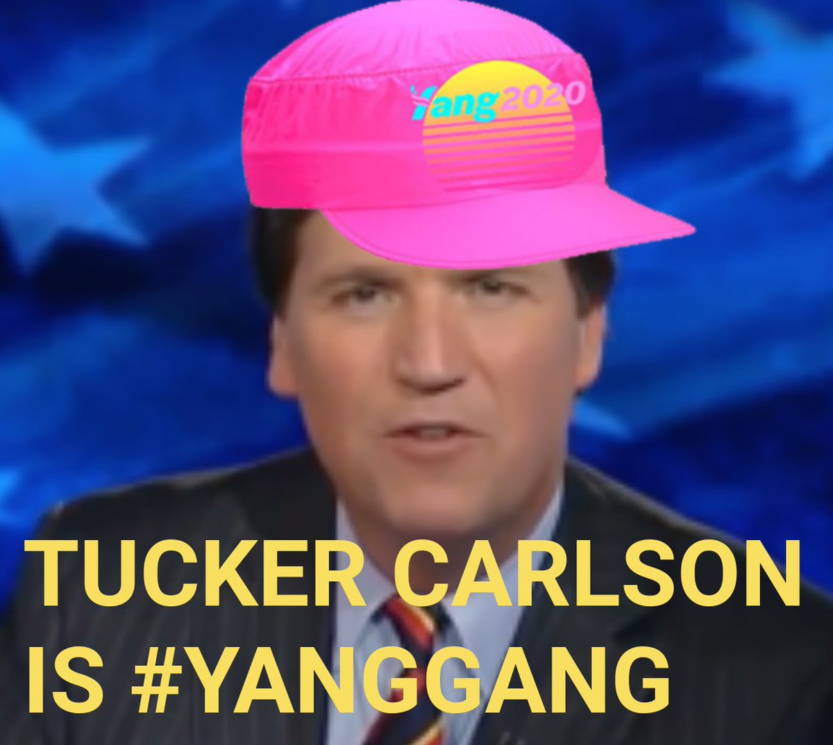 YangBot2020's tweet photo. #YangGang #TuckerCarlson https://t.co/sumx6n5Dzq