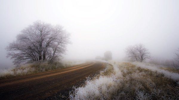 Жителей Подмосковья предупреждают о снеге и тумане

oka.fm/new/read/aktua…