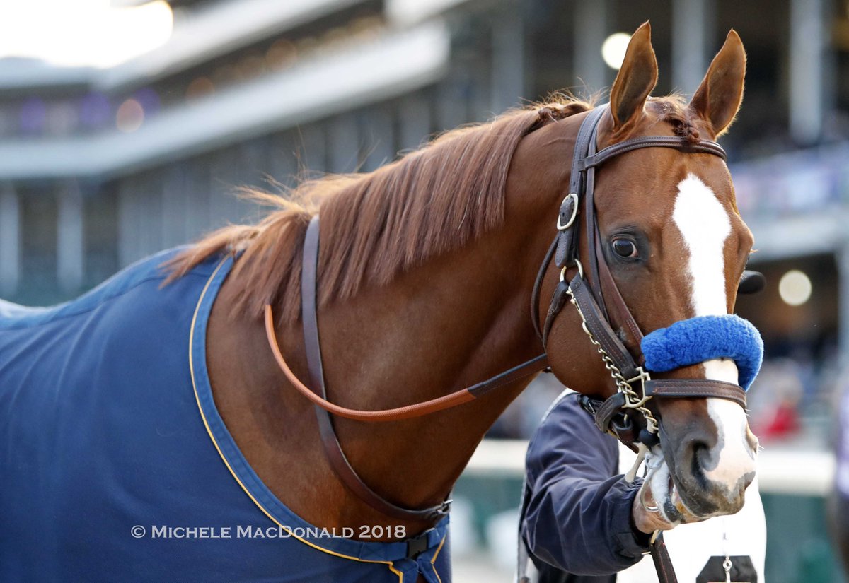 Michele MacDonald tweet media