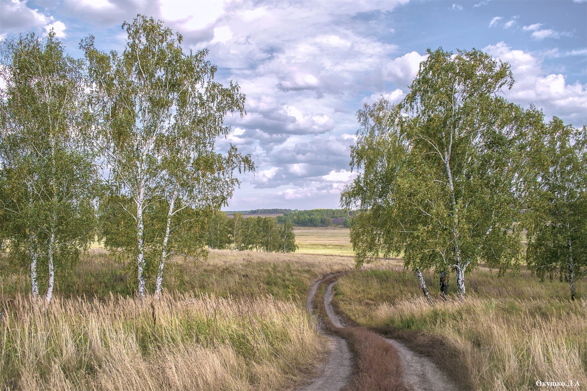 Наш край то березка. Родной край. Природа родного края. Красота родного края. Красота моей Родины.