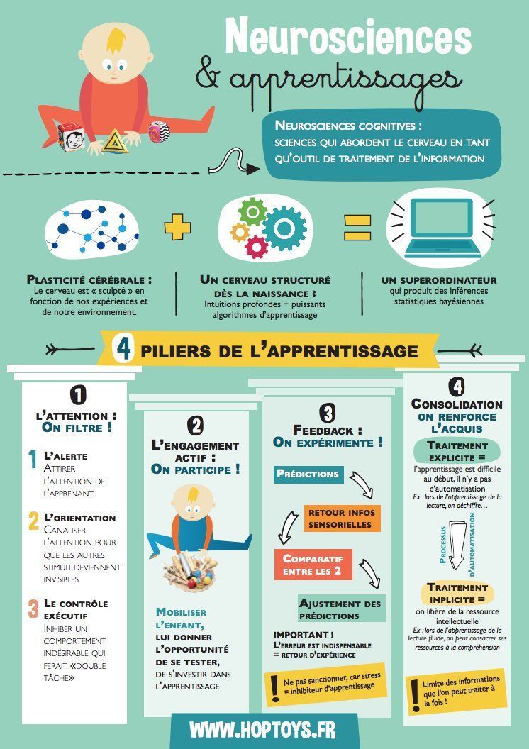 zeneduc's tweet photo. Grâce aux #neurosciences cognitives, 4️⃣ facteurs principaux de #réussite d’un #apprentissage ont pu être identifiés :
➡️ l’attention
➡️ l’engagement actif
➡️ le retour d’information (feedback)
➡️ la consolidation
Par @hoptoys Via @eduvoices
https://t.co/peUbQlV8wk https://t.co/i2wygnVtM1