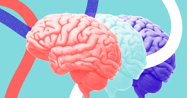 FlashTweet's tweet photo. 1️⃣[#Innovation] Les neuroscientifiques peuvent prédire les décisions 11 secondes avant qu'elles ne soient prises https://t.co/Ap4lS8TxYo v/ @futurism 

#FlashTweet

#Science #AI #ArtificialIntelligence #NeuralNetworks #Neuroscience #Tech https://t.co/Zj3g32Fd8H