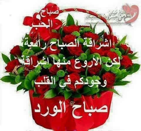 AD07171527's tweet photo. صباح الخير https://t.co/57PWtEId5G