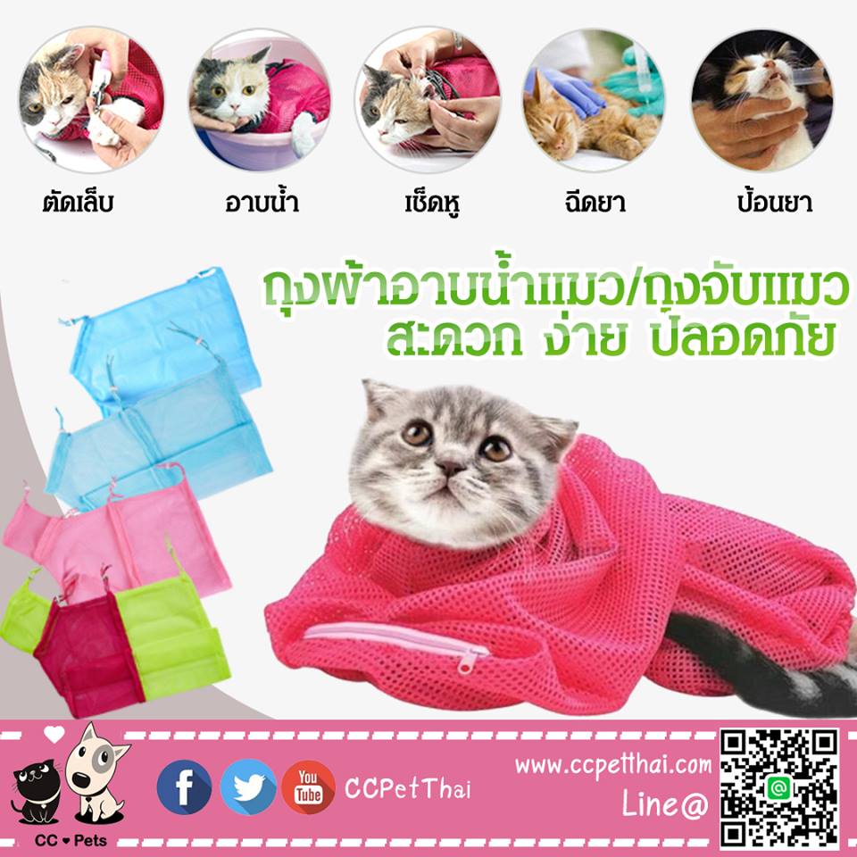 ccpetthai's tweet photo. CCPet ถุงอาบน้ำแมว/ถุงจับแมว
☑️เรียกได้ว่าเป็นถุงอเนกประสงค์เลย สามารถใส่แมวแล้ว เช็ดหู ตัดเล็บ อาบน้ำ ป้อนยา ฉีดยา หรืออื่นๆ ได้ง่ายๆ โดยปลอดภัยทั้งตัวเรา และแมว
ชมได้ที่ https://t.co/6WhSOoaAAw

#อุปกรณ์สัตว์เลี้ยง #สัตว์เลี้ยง
https://t.co/6WhSOoaAAw
FB : CCPetThai https://t.co/i8KOt9eyWd