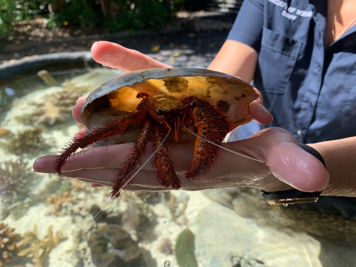 ReefAllianceAU's tweet photo. The 2018 Reef Champion Award winners enjoyed their recent study tour to Heron Island and reflected on the importance of the work they are doing on farm and in the community to safeguard the future of the #GreatBarrierReef #ReefAlliance #qldag ๐ฑ๐ https://t.co/Skt29SEGAC