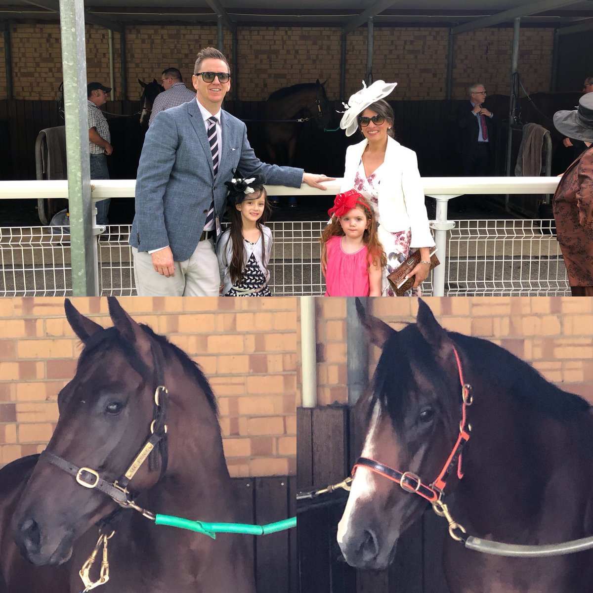 RolltheDiceRace's tweet photo. 2 runners on debut in the 2yo @mmsnippets Classic today in SA. Heโll Haunt Us & Swing and Boom go around for @MickPriceRacing - we wish all our owners the best of luck #webuyvalue #ruready2RTD #RTD https://t.co/WTMzn9LJNY