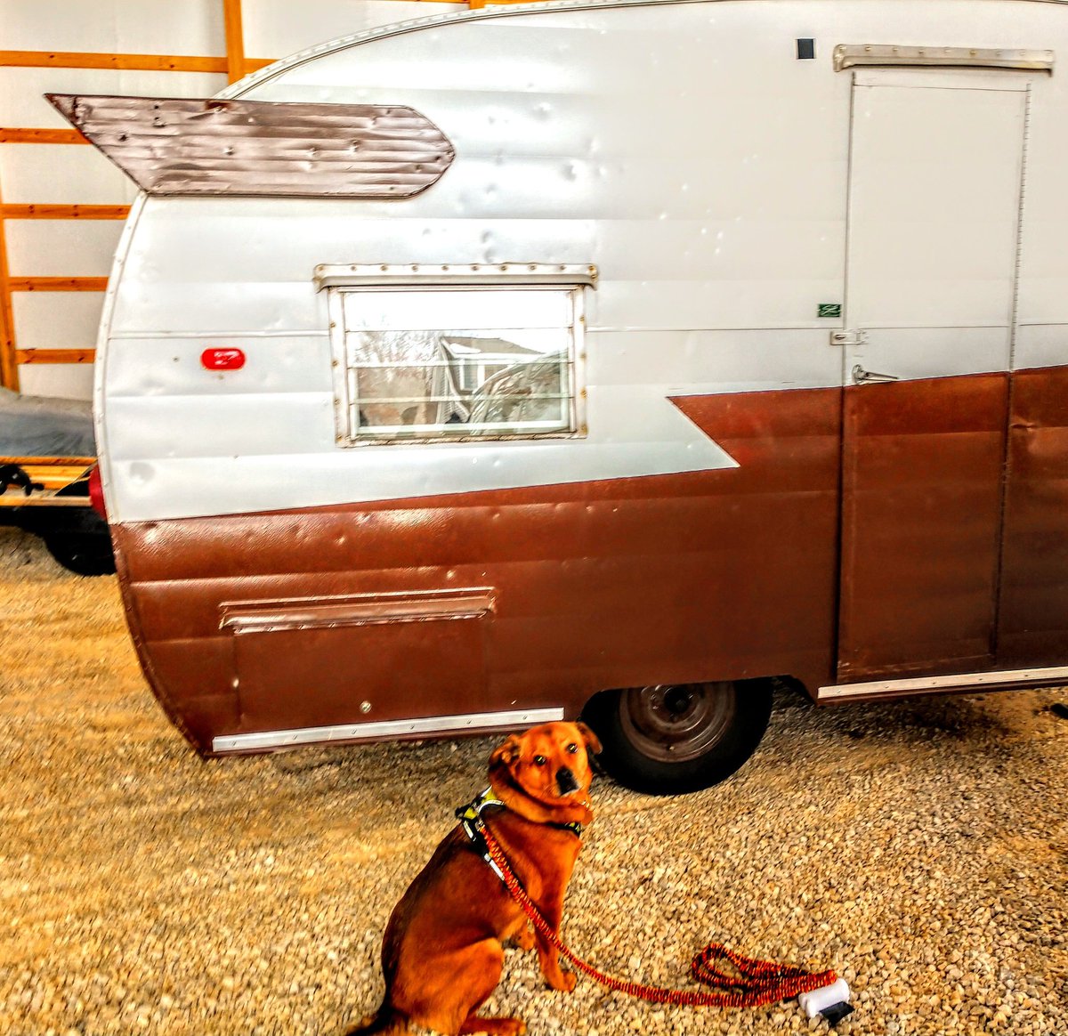 PickleJugBand's tweet photo. Finn And The Flying Fudge, taking Pickles to fests hither and yon this summer. Super stoked to hit the road in camper. @hoxeyville @ButtermilkJam @stringsummit @campgreensky @finn_the_batbeardog
#musicfestival #hoxeyville 
#stringsummit #vintagecamper 
#shastacompact #shasta https://t.co/RoYCc1AUgQ