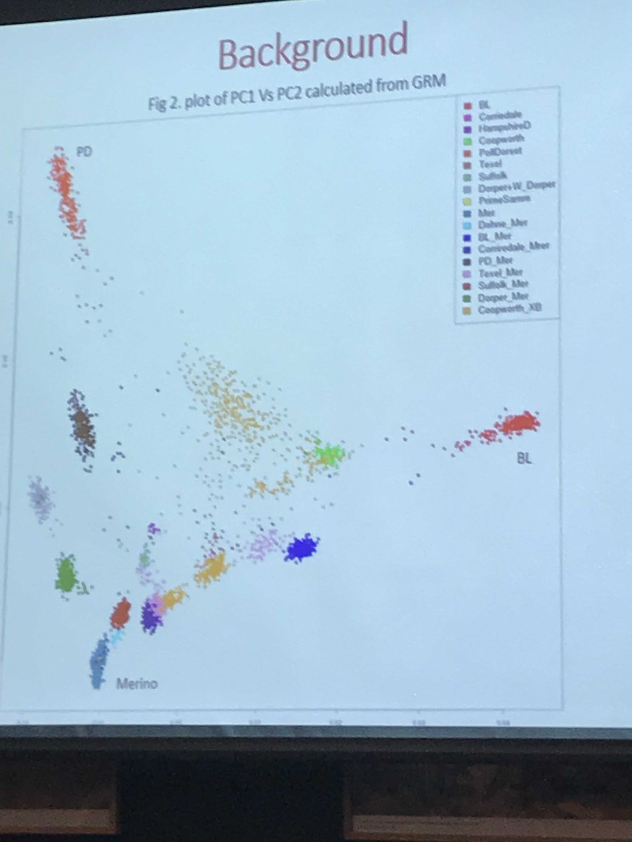 AGBU_GENE's tweet photo. Nasir Moghaddar gave a great seminar on "Genomic prediction in small breed population using whole genome sequence data" #AGBUSEMINAR #Sheep #Genetics #Smallbreeds @meatlivestock @SheepCRC @nswdpi @UniNewEngland https://t.co/bOs2LS4gFr