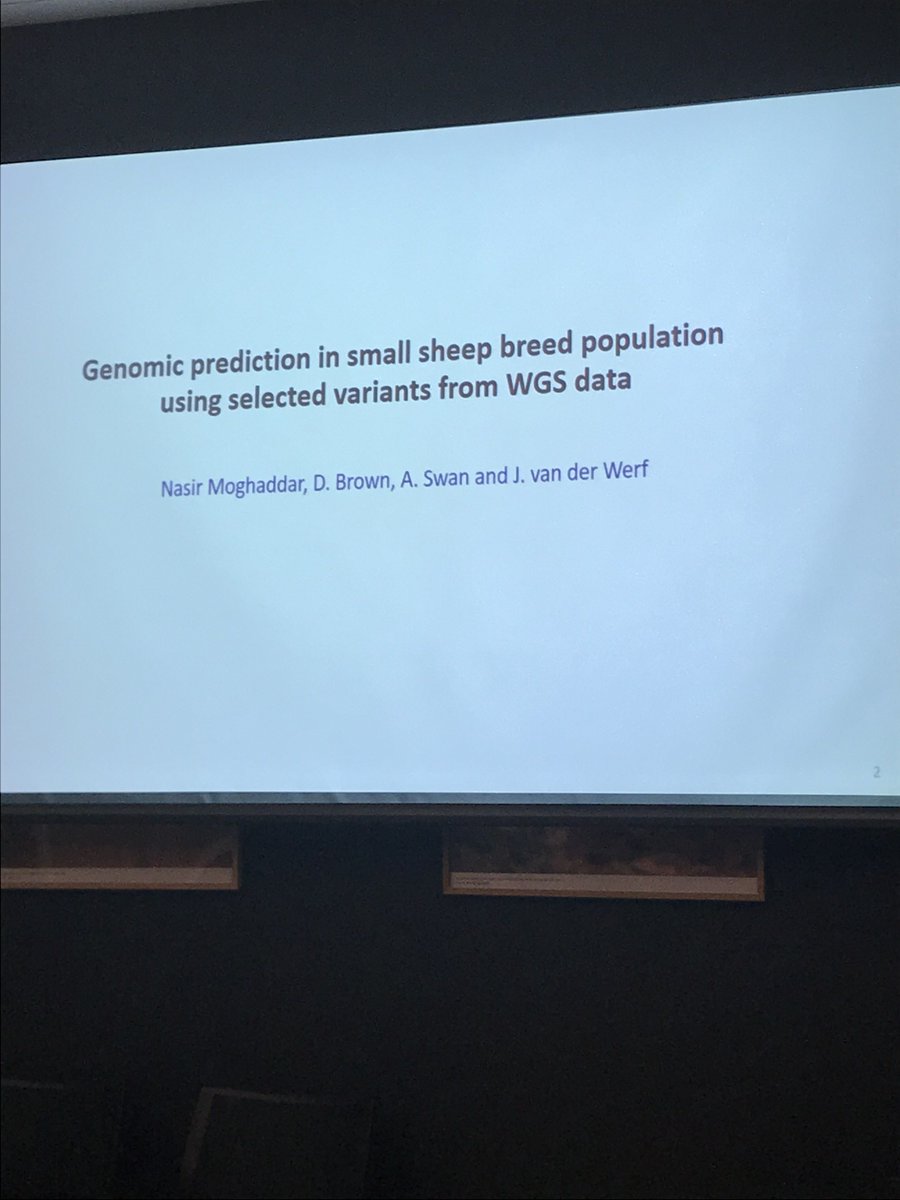 AGBU_GENE's tweet photo. Nasir Moghaddar gave a great seminar on "Genomic prediction in small breed population using whole genome sequence data" #AGBUSEMINAR #Sheep #Genetics #Smallbreeds @meatlivestock @SheepCRC @nswdpi @UniNewEngland https://t.co/bOs2LS4gFr