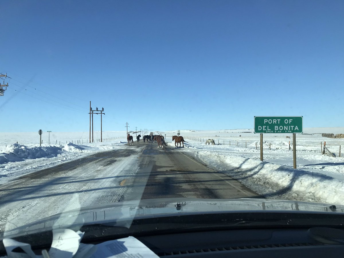 beesbourassa's tweet photo. Only in Montana...
 #bigskystate #lessrules #freedom https://t.co/DsqbwYWo9O