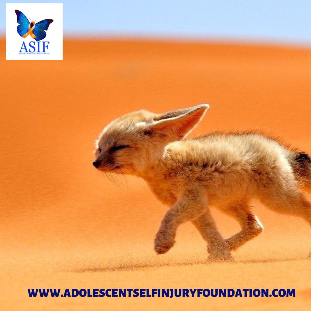 ASIFstopcutting's tweet photo. Stay strong little fighter, keep going! 🦊🐾
•
•
•
#Asifoundation #AsIAm #strength #strong #fox #projecthope #SIAD2019 #stopcutting #change #hope #support #nonprofit #donatenow #selfinjuryawareness #adolescentselfinjuryfoundation https://t.co/2J5PWvblxq