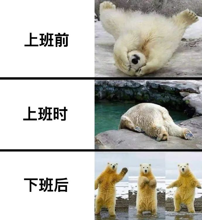 KarOngLim's tweet photo. This is me now https://t.co/TdzYUCNnVi