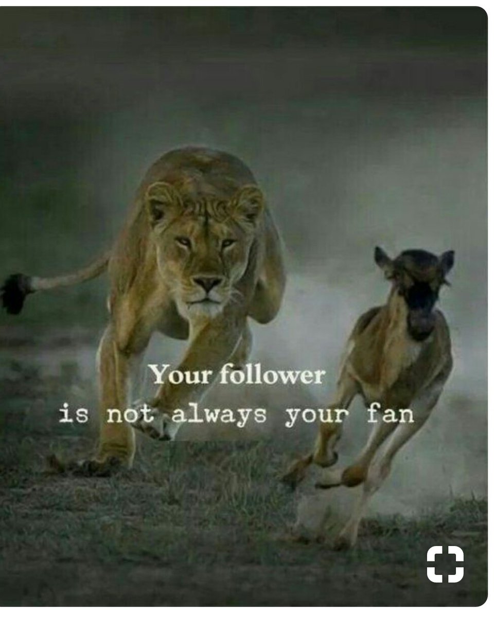 Lapstore1's tweet photo. #MotivationMonday https://t.co/WKFhXDF2IY
