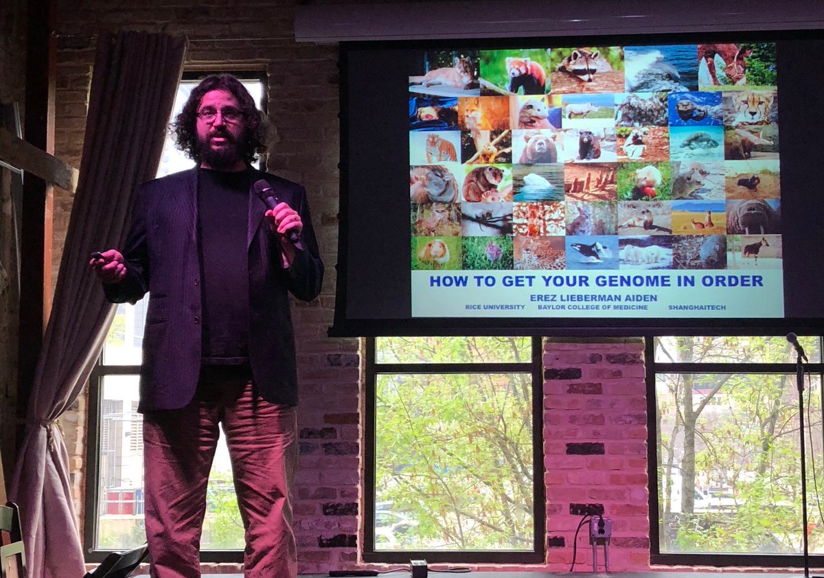 Lola Bravo tweet media