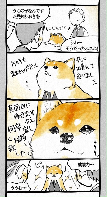 
金太郎み 