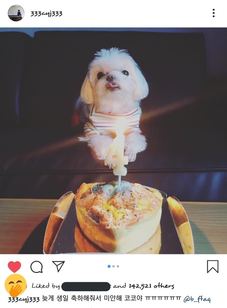 cyjaexquisite's tweet photo. Youngjae's ig update! 💚
He's so cute. 😭 He said he's sorry for the late celebration of coco's birthday. 😭💕
Coco's so cute too. 💕
🌙 https://t.co/0JscmjsBR1