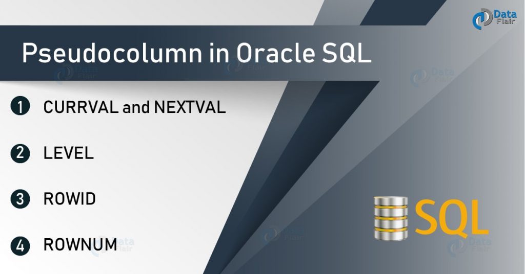 DataFlairWS's tweet image. What is Pseudocolumn in #Oracle #SQL? Learn with Examples
#StructuredQueryLanguage #Database #DataScience
bit.ly/2M6uuhv
