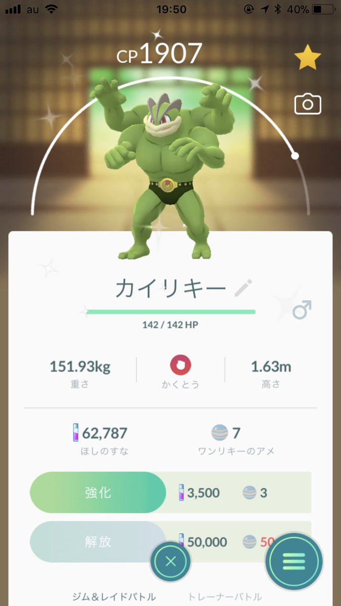 色違いカイリキー