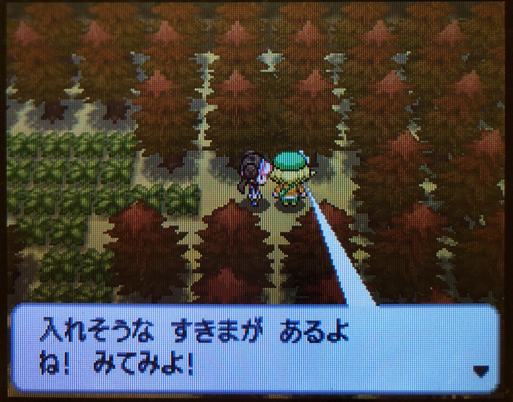 9 ライモンジム制覇 ホドモエシティへ その1 ピクミン マリオ ドラクエ Ff ポケモン日記