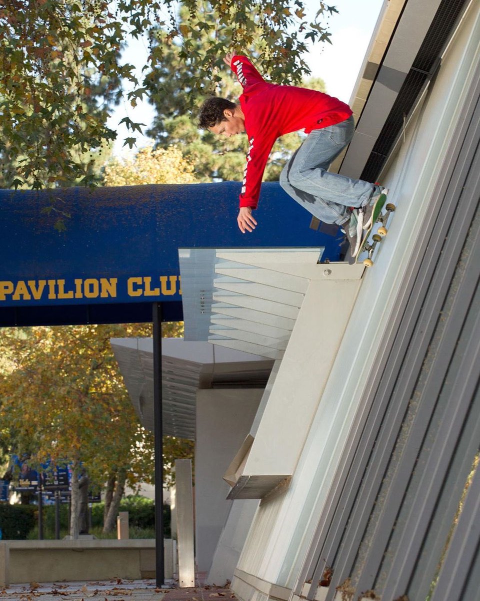Shiner Skateboards tweet media