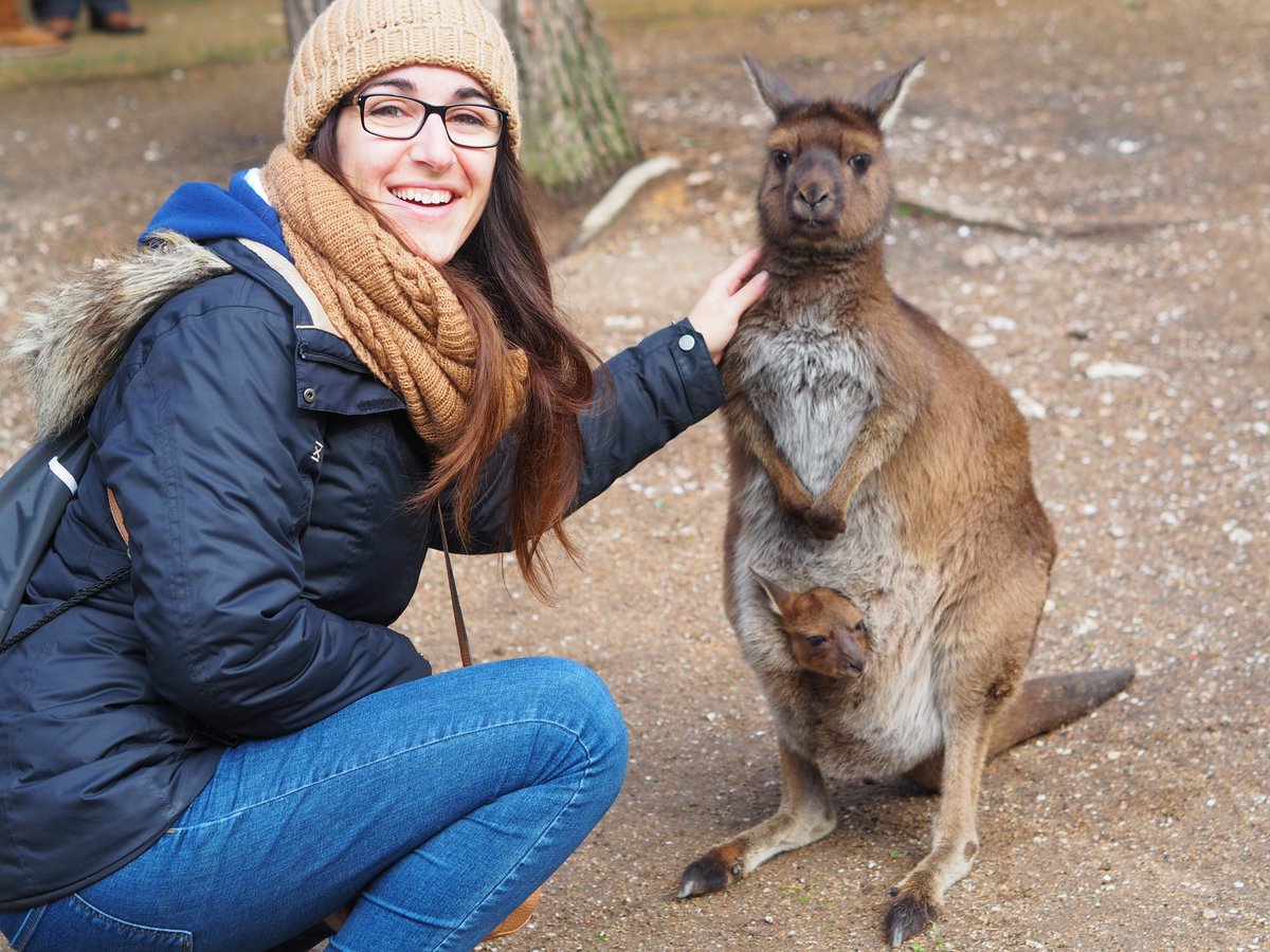 InnovadorasTIC's tweet image. Este lunes os presentamos a @patrypons, #Ingeniera de #software y sistemas de información en el campo del #AnimalComputerInteraction 🦘🕹️💻 
Nos cuenta su experiencia como mujer en el mundo STEM en una entrevista que puedes leer en nuestro blog ➡️ bit.ly/2TzmXip 🗒️