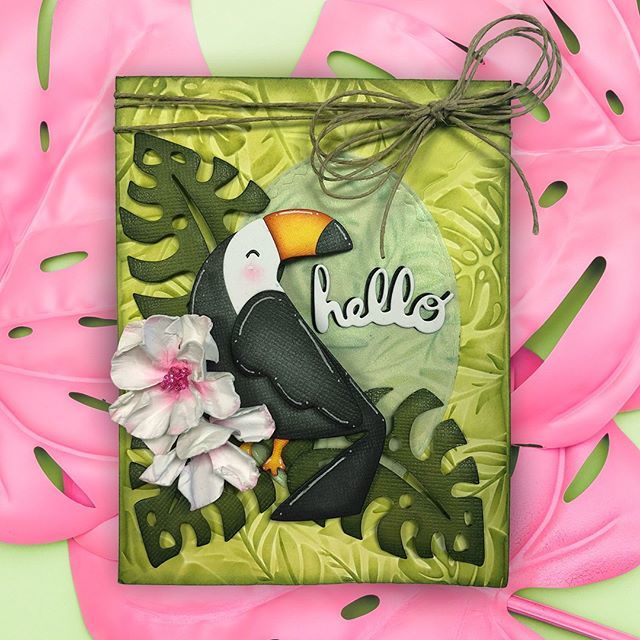 clearsnap's tweet photo. HELLO gorgeous toucan card!! @mitsyana
#tropicalart #toucanart #papersbff #craftersbff #colorbox #colorboxink #clearsnap #handmadehugs #handmadecards #diycards #paperplay #stampit #cardmakingfun #cardmakingideas #craftersofinsta #crafttimefun #car… https://t.co/Vxop04e7yQ https://t.co/Yt9n6b2ydu