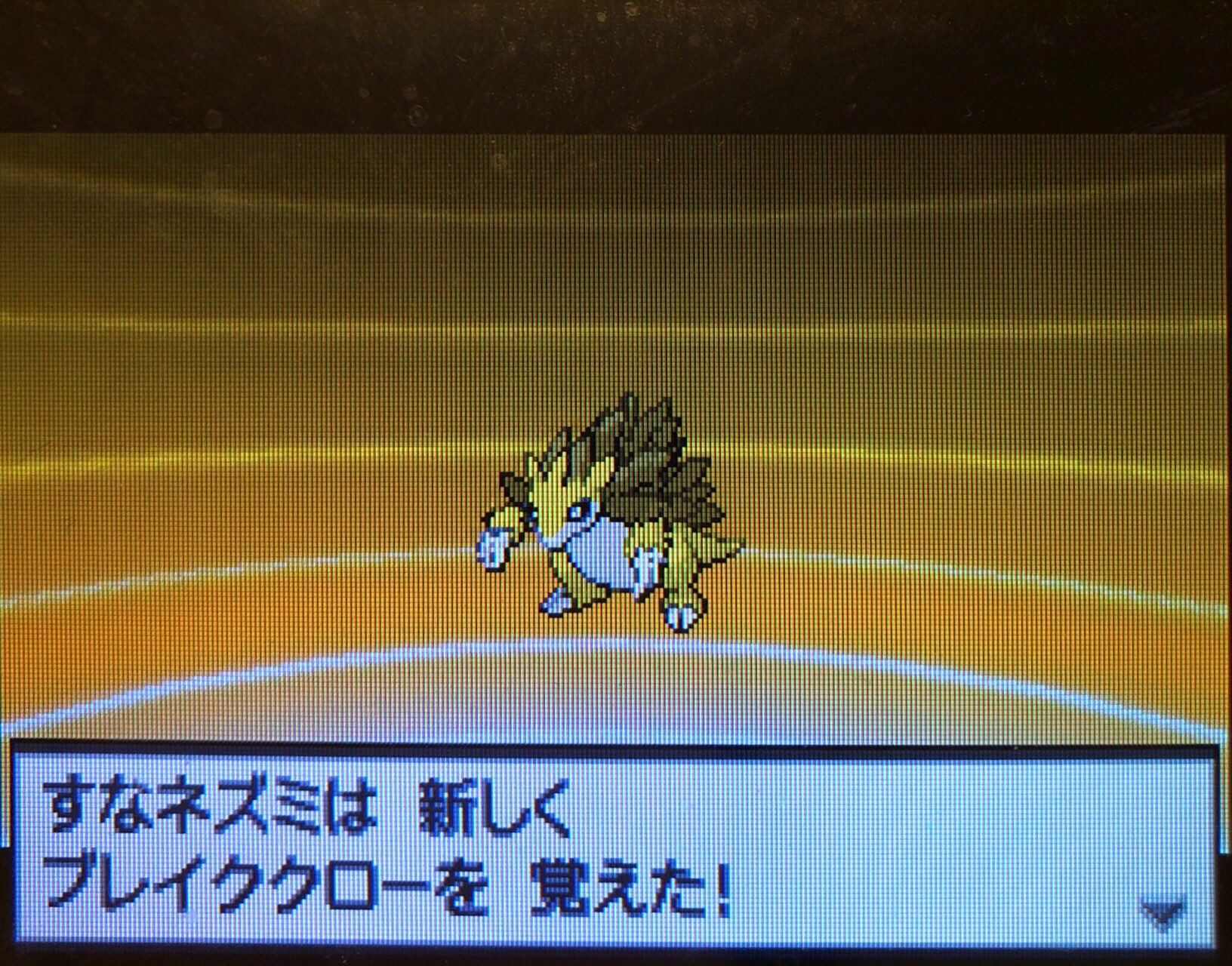 9 ライモンジム制覇 ホドモエシティへ その1 ピクミン マリオ ドラクエ Ff ポケモン日記