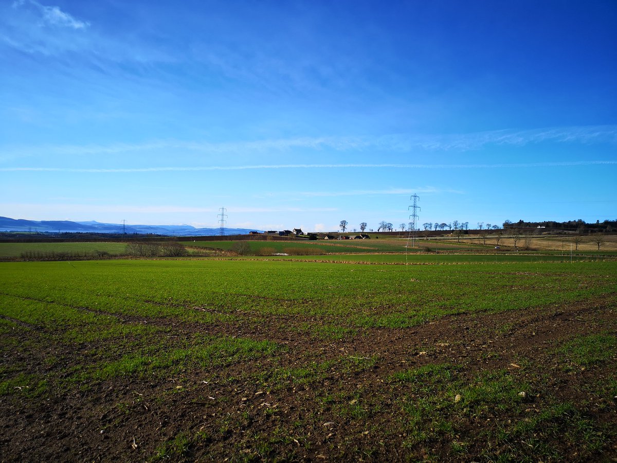 HuttonCSC's tweet image. Beautiful day for a #crop walk. Crops not looking bad either!  #Sustainability