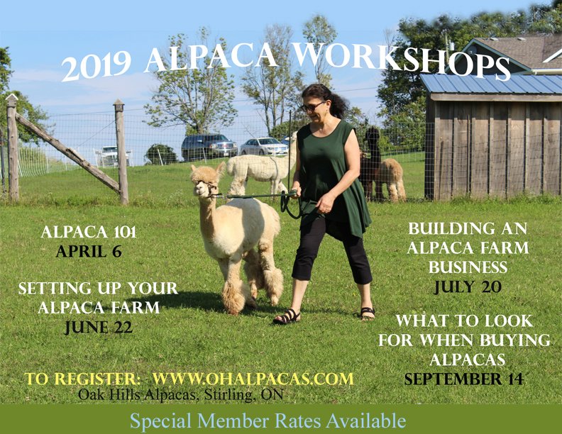 ohalpacas's tweet photo. 2019 #Alpaca #Workshops.
Register now!

#alpacafarming #farming #howtofarm #alpacaontario #hastingscounty #stirlingrawdon #bayofquinte #alpacalife #hobbyfarming #farmbusiness https://t.co/N1MV1KobHo