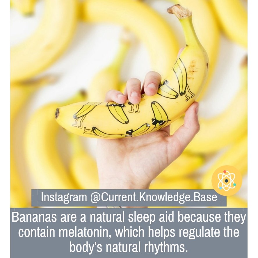 FactPro_'s tweet photo. #Bananas are a natural #sleepaid because they contain #melatonin, which helps regulate the body’s #naturalrhythms.
#DidYouKnow #Retweet #PadmaAwards #MondayMorning #MondayMotivaton https://t.co/bcuDClvfQQ