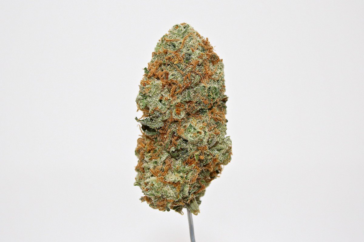 hydroflyy's tweet photo. #CannabisCommunity #CannabisNews #MarijuanaEcosystem #DopeArtistThursday #cannabisoil #party #weed #cannabis #marijuana #cannabiscommunity #thc #weedporn #cbd #weedstagram #ganja #stoner #cannabisculture #dabs #kush #hightimes #maryjane #dank #life #highlife #smoke #high https://t.co/M2ey5Zfx9N