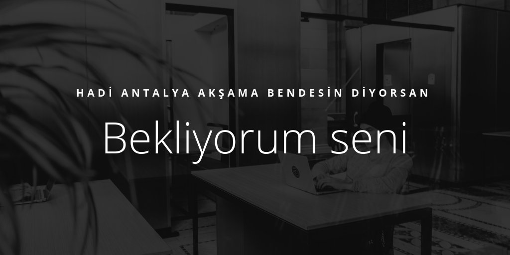 tekerkek3407's tweet photo. Hadi Antalya akşama bendesin diyorsan bekliyorum seni #swingercift #swingersclub #swinger #evlicift #antalya #konyaalti #evli #dul #bekar #sexisteyen #tekbayan #bayan #erkekarayan https://t.co/SlF66JYdtp