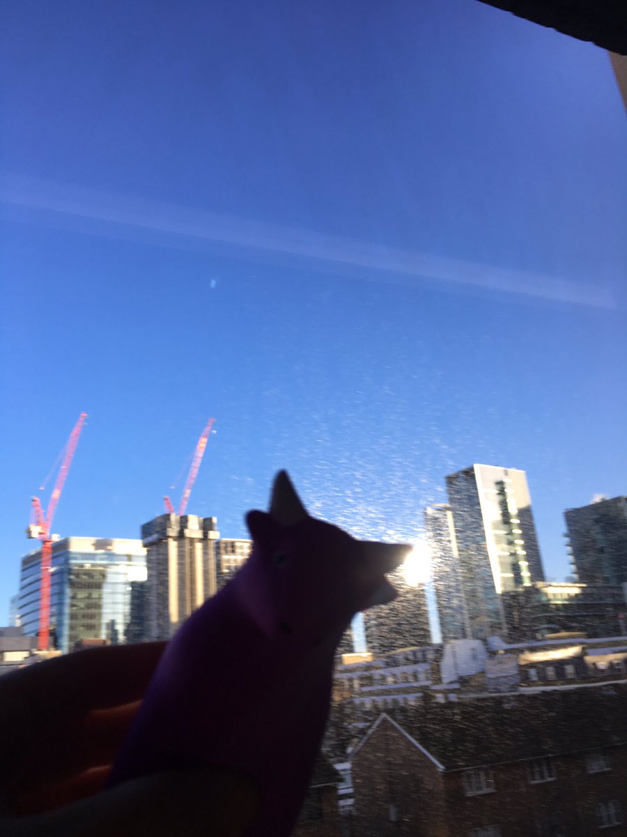 NinaEigerman's tweet photo. Beautiful morning in London #lyonBoundBulls https://t.co/hnIzAtGlzZ
